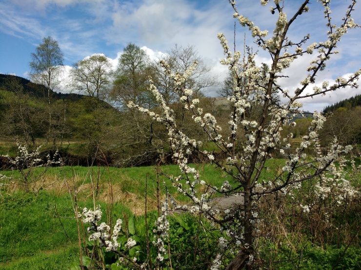 Balquhidder, Scotland Balquhidder